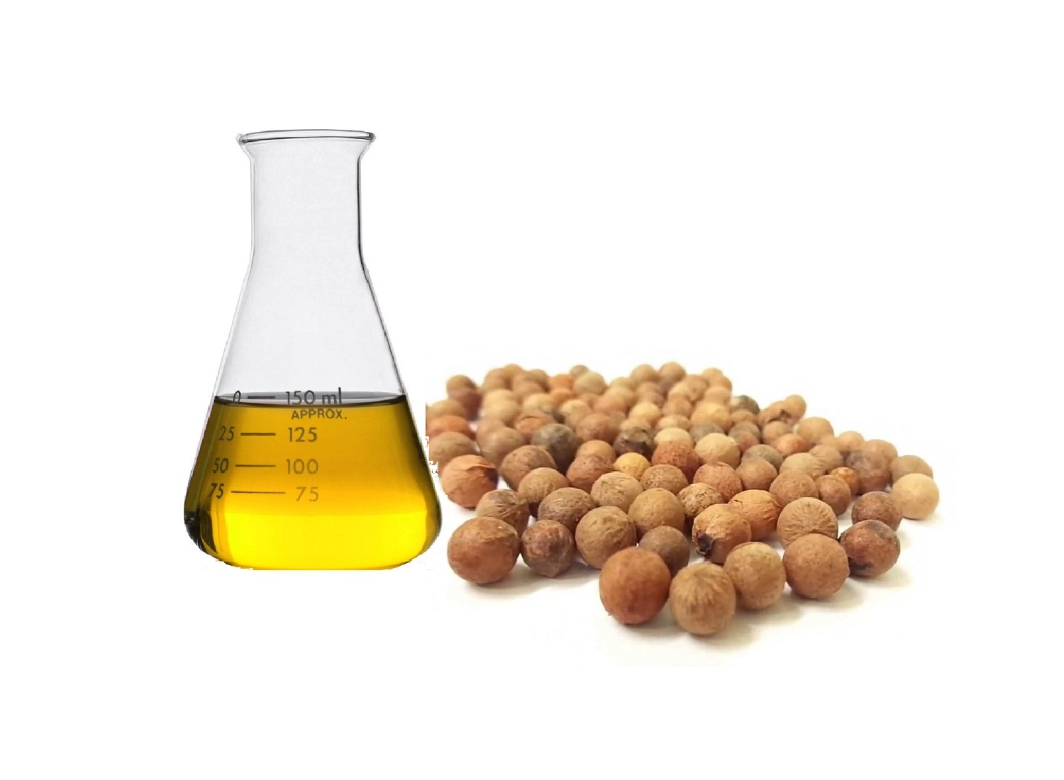 Indian SandalWood Nut Oil (SCFE)