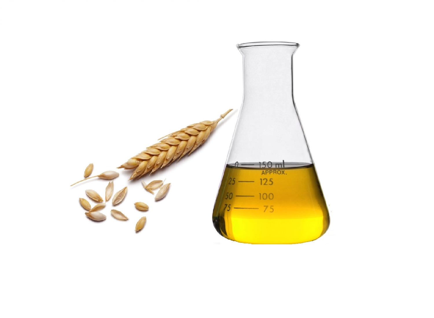 Wheat Germ Oil (SCFE) Calyx Commodities