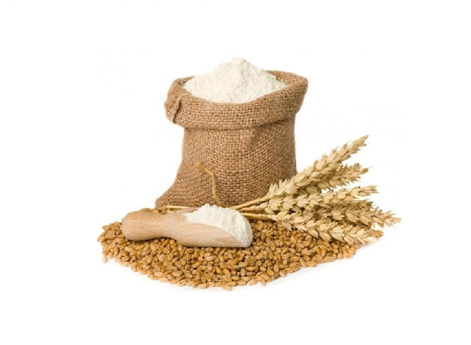 Defatted Wheat Germ Flakes